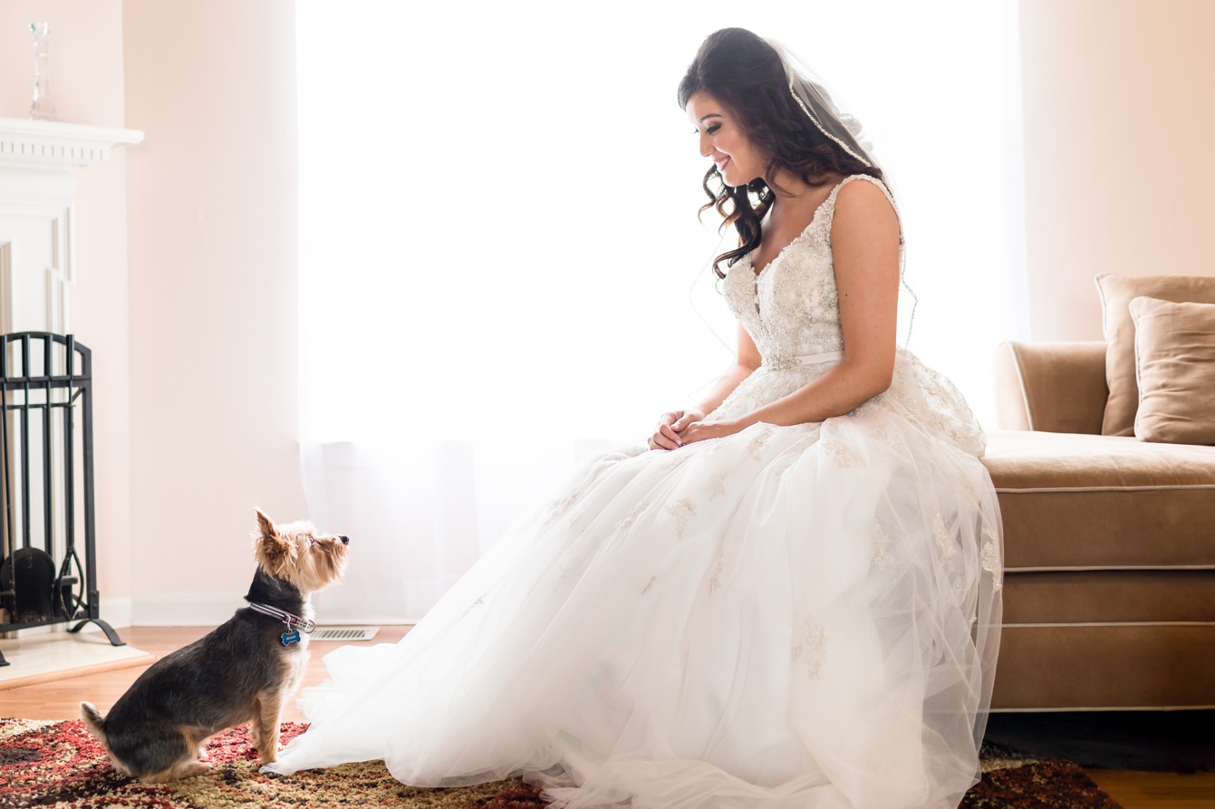 portrait of a bride and her dog in grand blanc michigan