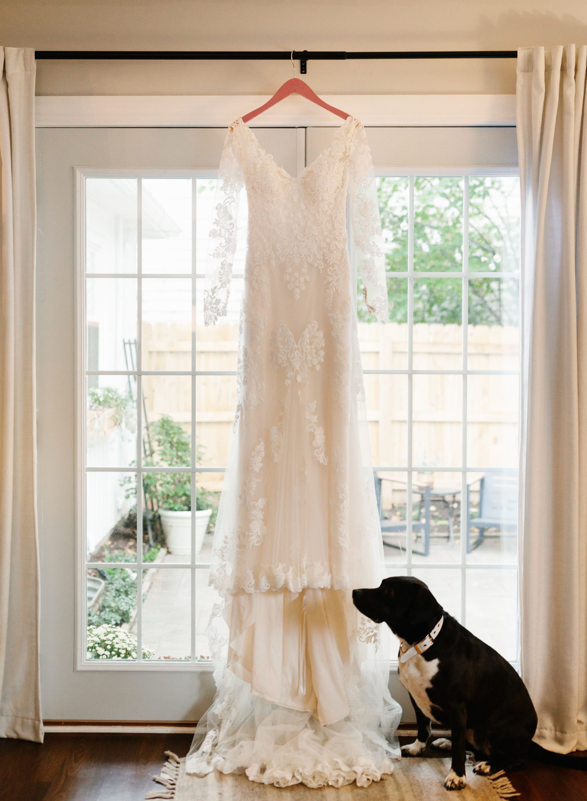 Wedding dress hanging up in front of a window overlooking a backyard, dog is looking at wedding dress by Detroit Wedding Photographer Michele Maloney