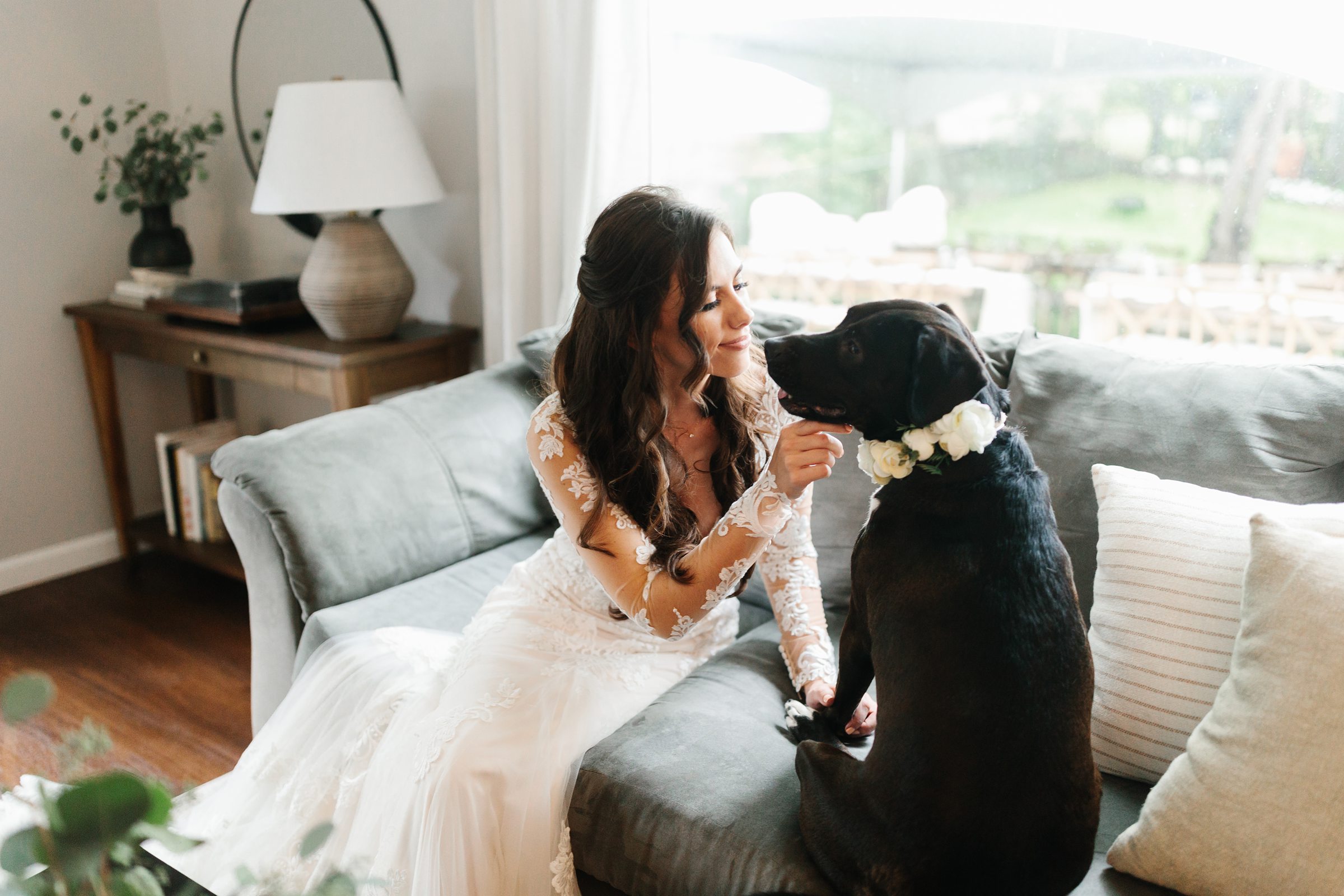 Bride sits on couch and pets her dog before the Ann Arbor Intimate Wedding by Detroit Wedding Photographer Michele Maloney 