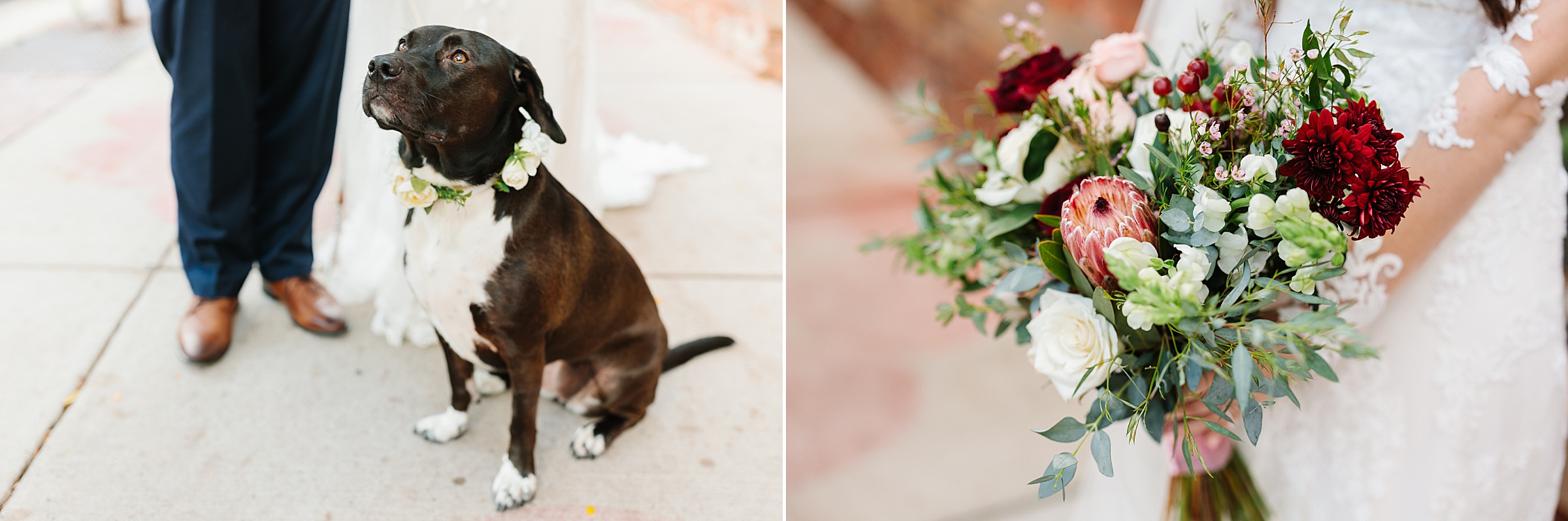 Close up of the bride and groom's dog looking up; close up of the bride holding her wedding bouquet by Detroit Wedding Photographer Michele Maloney