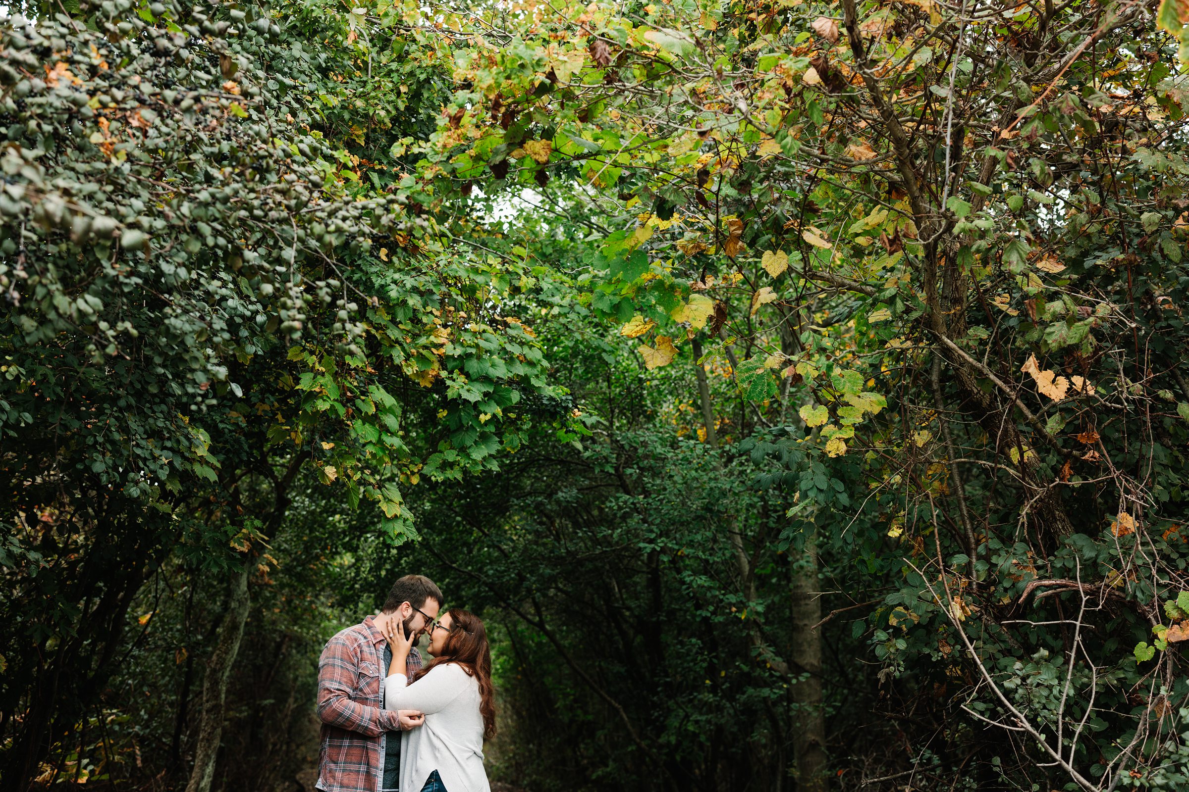 Engaged couple touches noses under a canopy of autumn leaves for a fall engagement session by Detroit Wedding Photographer Michele Maloney