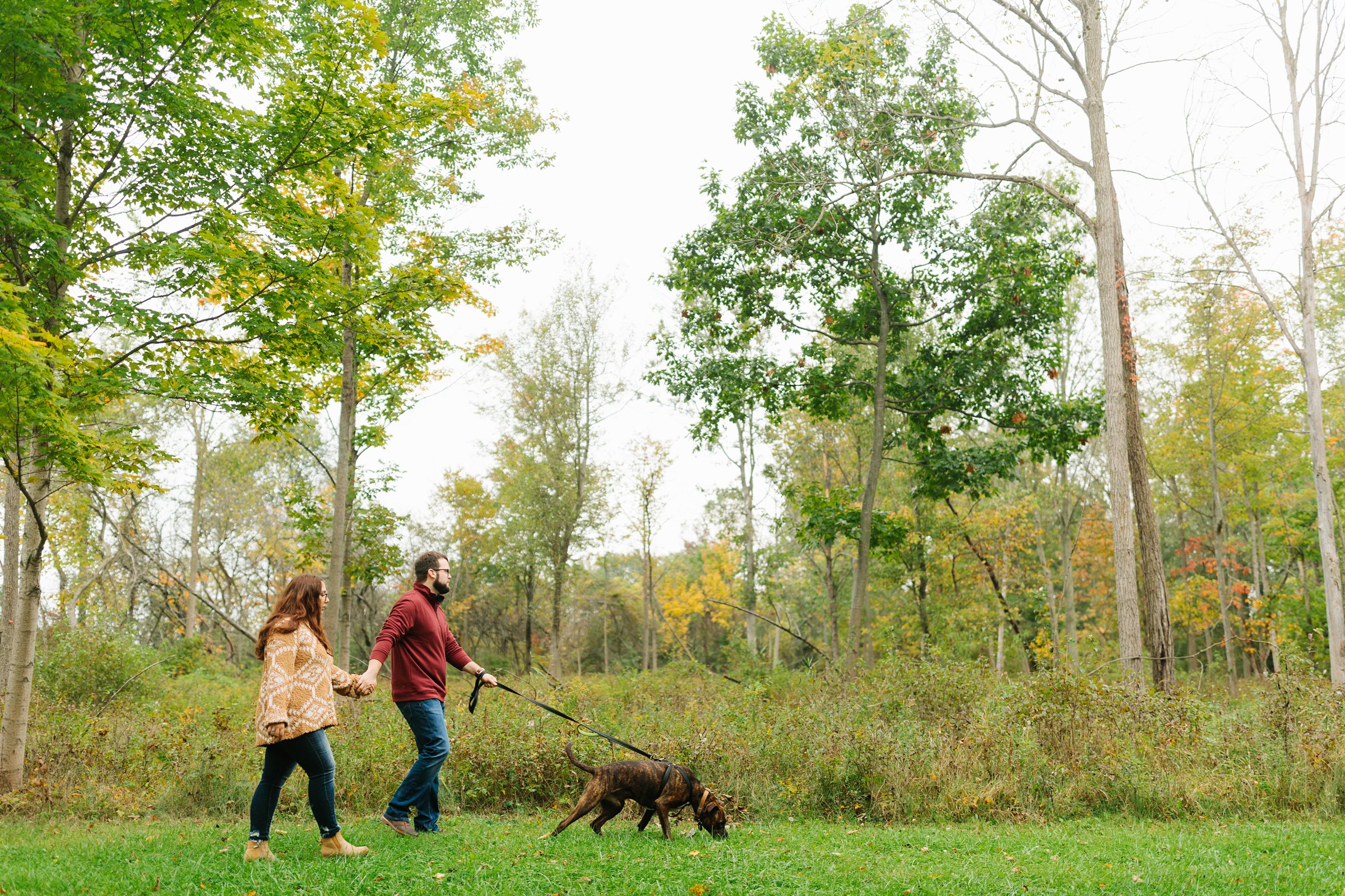 Engagement couple takes a stroll with their dog while holding hands for a fall engagement session by Detroit Wedding Photographer Michele Maloney 