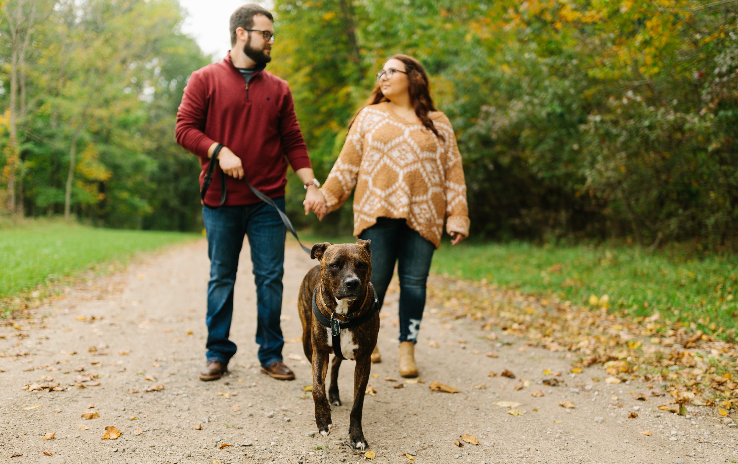 Engaged couple holds hands in the background and looks at each other while their dog walks in front by Detroit Wedding Photographer Michele Maloney 