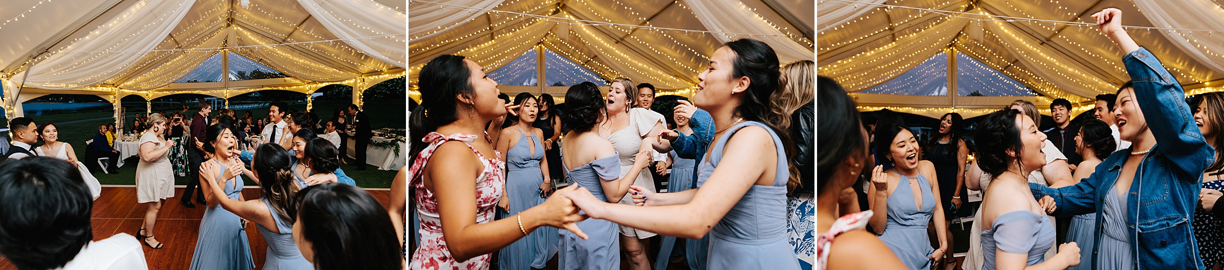 Guests enjoy dancing at the outdoor reception by Detroit Wedding Photographer Michele Maloney