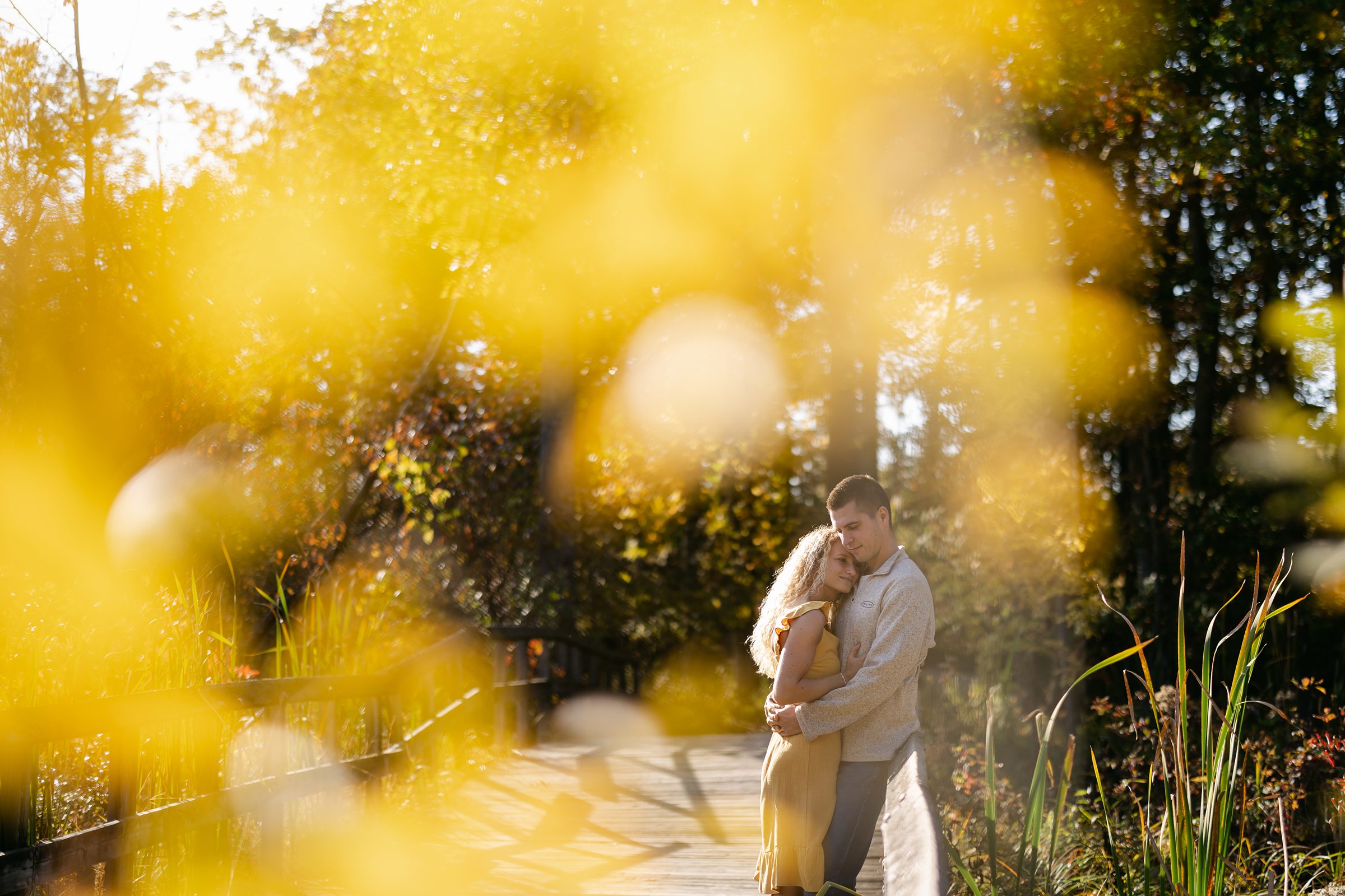 CoupCouple cuddling during their engagement session near the fall leaves at Kensington Metropark in Milford Michigan by Michele Maloney Photography