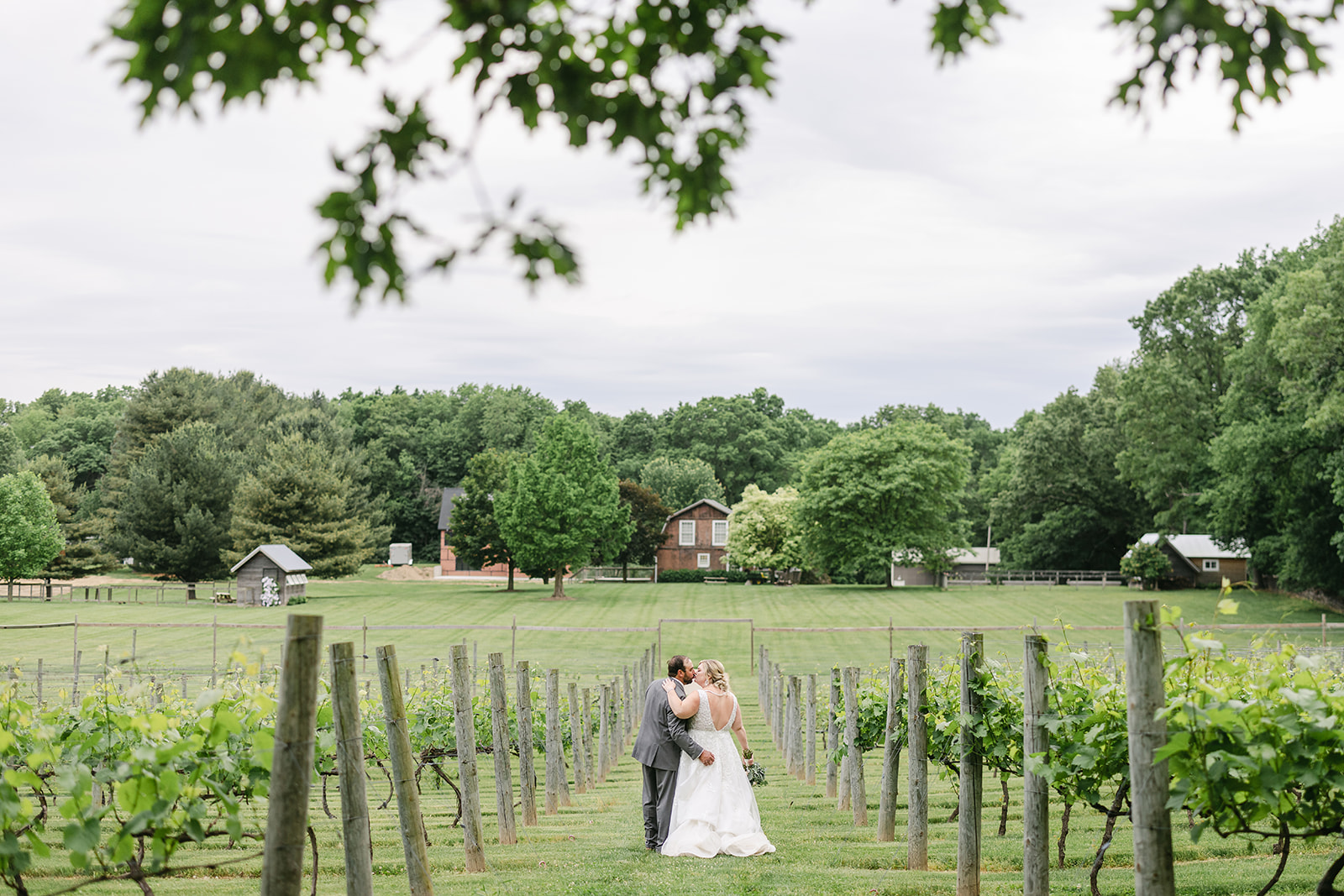 Westers Family Vineyards Wedding | Michele Maloney Photography