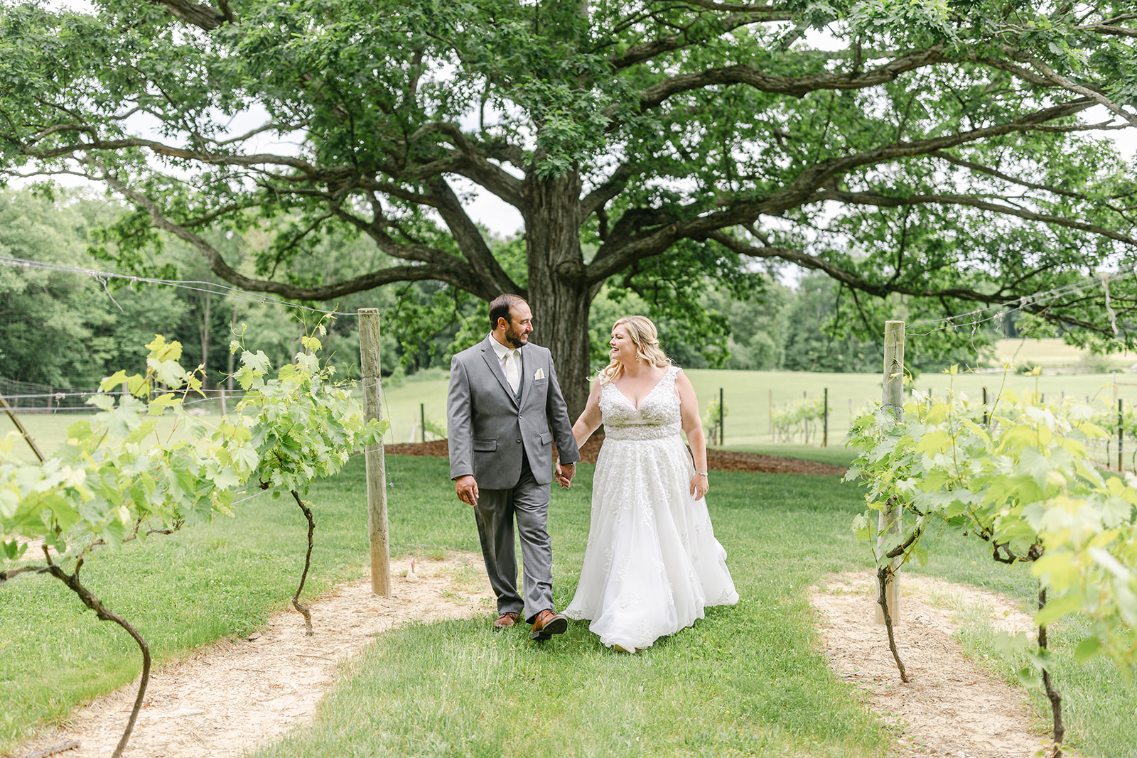 Westers Family Vineyards Wedding | Michele Maloney Photography